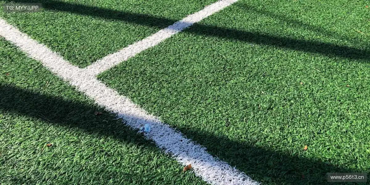 一键开启,随时随地看直播!📱